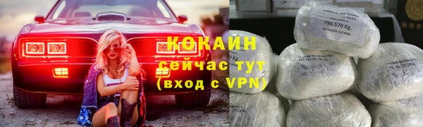 прущие грибы Бронницы